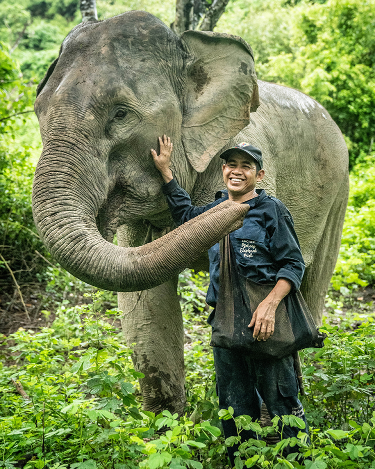 Éléphant et son mahout au Mekong Elephant Park