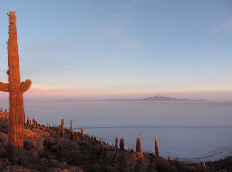 Incahuasi et ses cactus Uyuni voyage nature