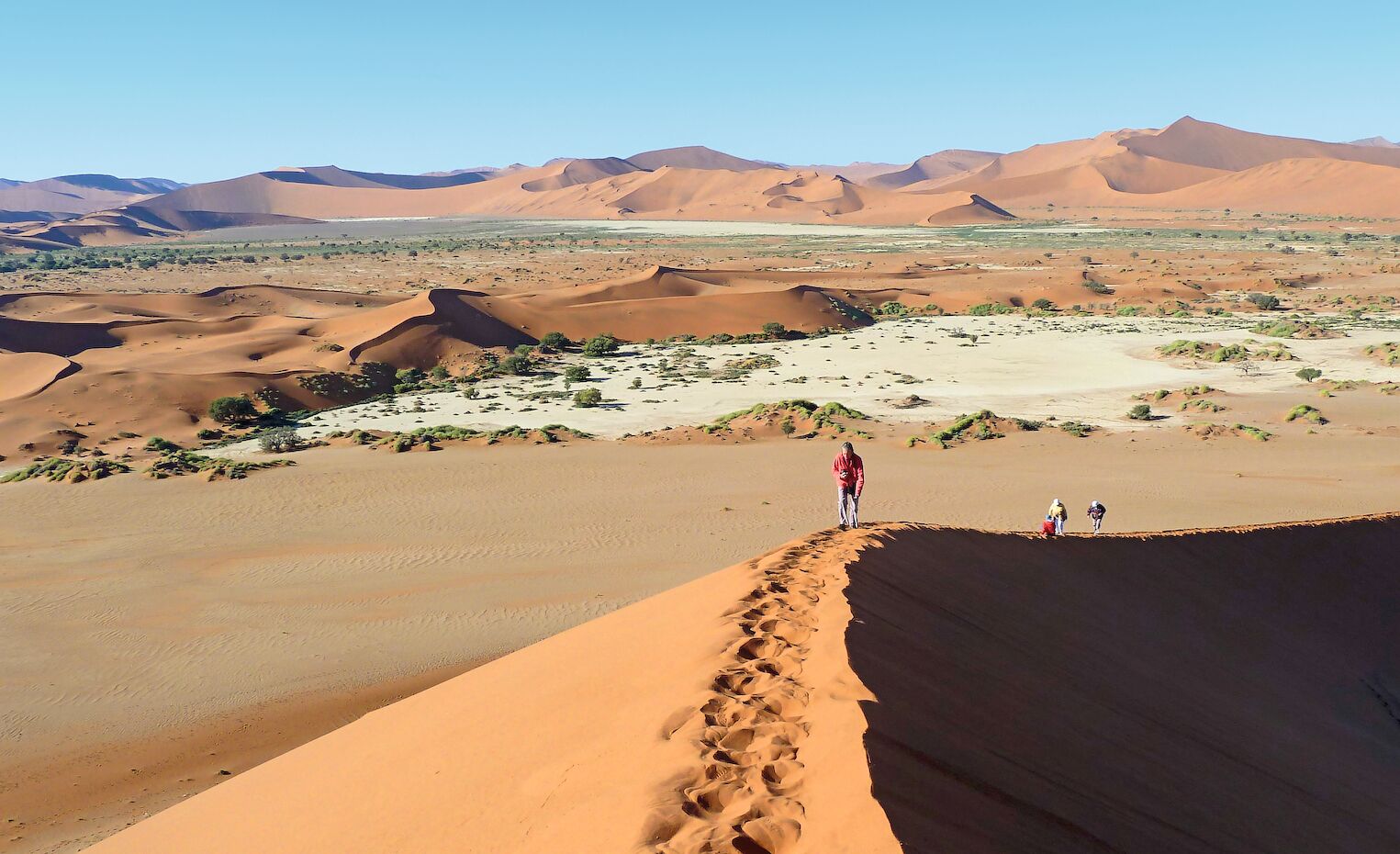 Les dunes du désert du Namib