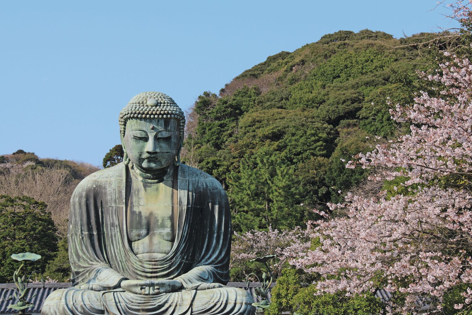 Le Grand Bouddha, ou Daibutsu, de Kamakura