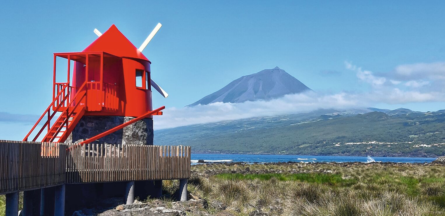portugal açores île de Pico